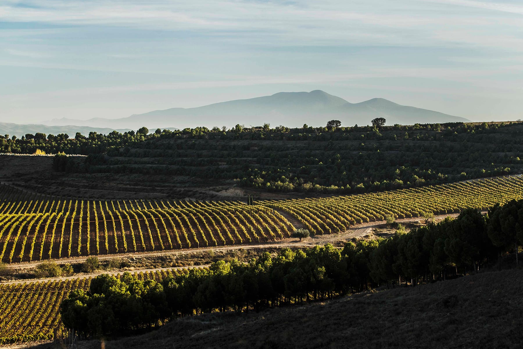 Comparte tu Rioja