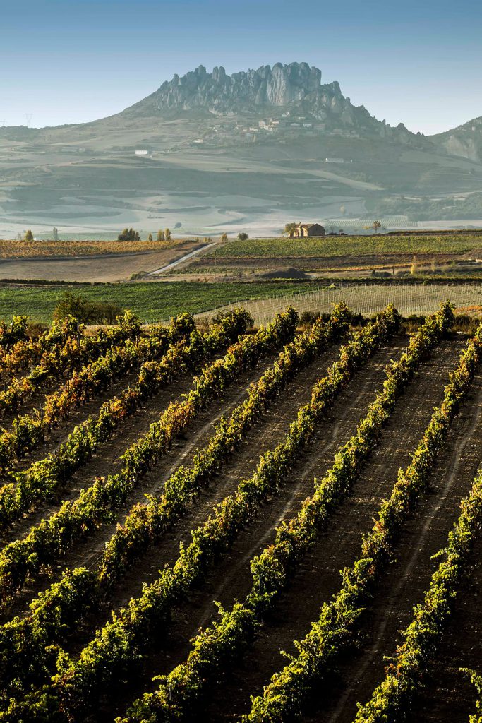 Rioja #TeMerecesUnRioja